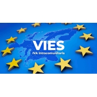 Gestione Pratica VIES