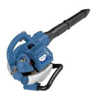 Leaf Blowers and Vacuum