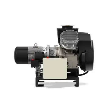 Abac Tech ATF 2 BM 2 to 3 HP - Piston Pump Unit on Base 10 bar