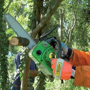 Active 39.39 - Portable Pruning Chainsaw