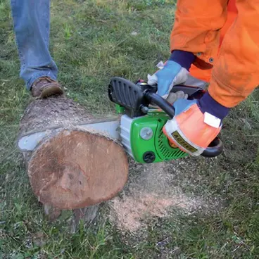 Active 39.39 - Portable Pruning Chainsaw