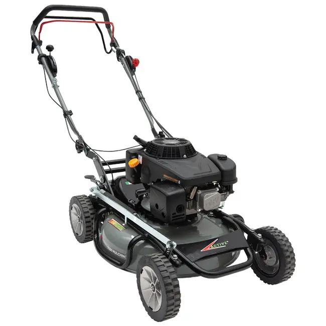 Active 5500 SVA - Adjustable Speed Mulching Lawnmower