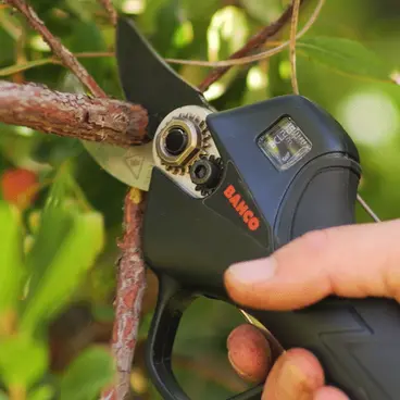 BAHCO BCL226 - 26 mm Battery Pruning Shears for Thin Branches and Small Vines
