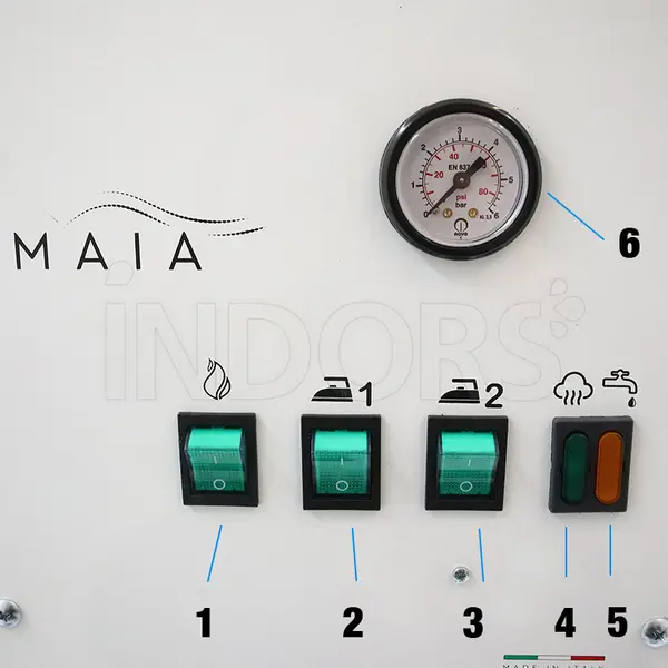 Battistella Maia - Steam Generator