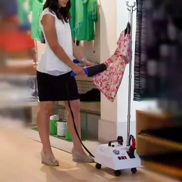 Bieffe Farinelli Easy Vapor Alur - Steam Iron and Cleaner