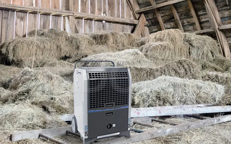 dehumidification of Biemmedue cellars dr 100