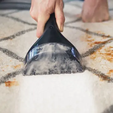 Bissell SpotClean Pro carpet cleaner and car carpet cleaner