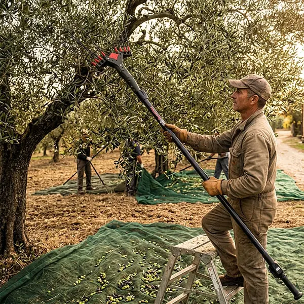 Castellari Vertigo L 18 12 V - Professional Battery-Powered Olive Harvester with 3.3 m Aluminum Pole
