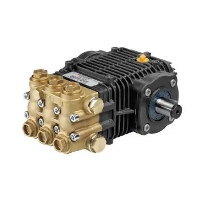Comet FW2 pump