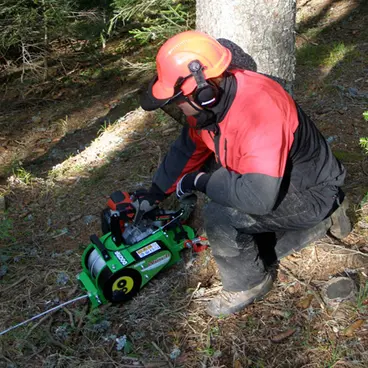 Docma Forest Winch