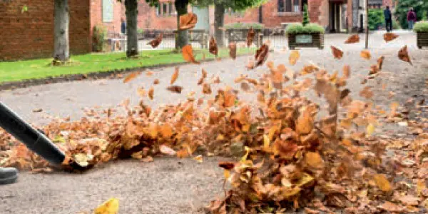 EGO LB 6150 E - Battery-Powered Leaf Blower