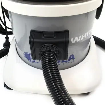 Elsea Ares White