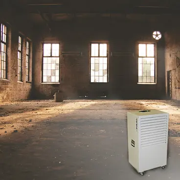 Fral FDNF96 Dehumidifier Large Surfaces