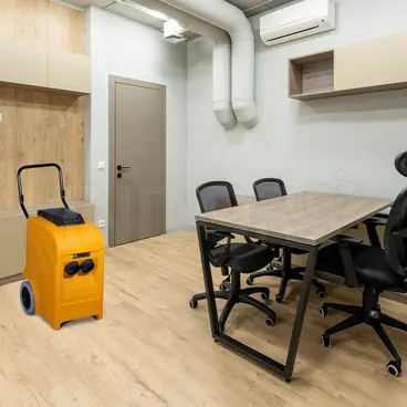 Fral Rotomoulded 50 - Portable Shockproof Dehumidifier for Office Use