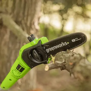 Greenworks GD40PSHK2X Battery Pruner with 2 Batteries + Charger included
