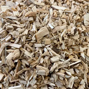 GTM professional bioccipatore
