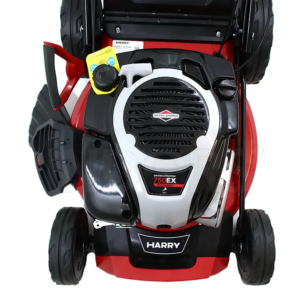 Harry HR 5500 SBQ - Lawnmower with Briggs & Stratton Engine