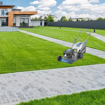 Hyundai 65800 - Mulching lawnmower 5 HP