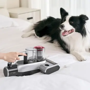 JIMMY BX6 Pro vacuum cleaner for people allergic to dust and hair