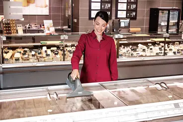 Karcher WVP 10 glass polisher