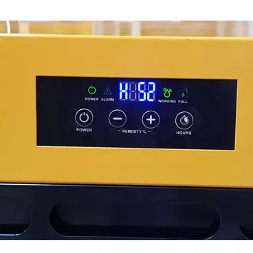 MASTER DH 62 - Professional Dehumidifier