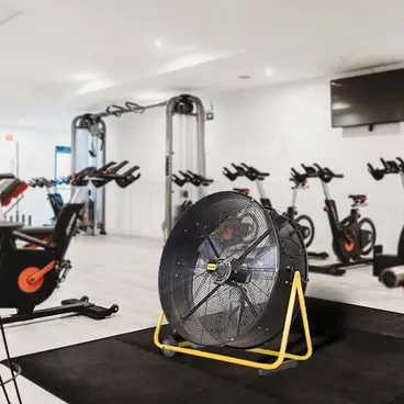 Master DF 20 P - Professional Portable Fan for Gyms
