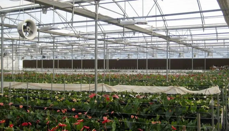 CELdek 7060 and 7090 cooling panels