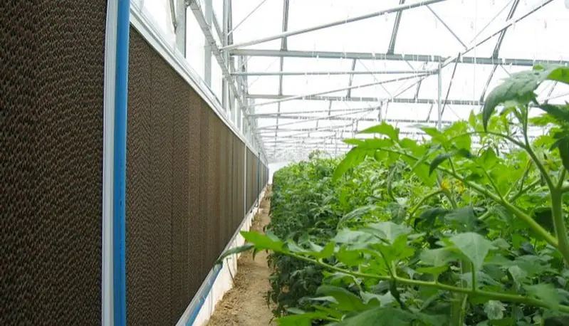 CELdek cooling panel for greenhouse cooling