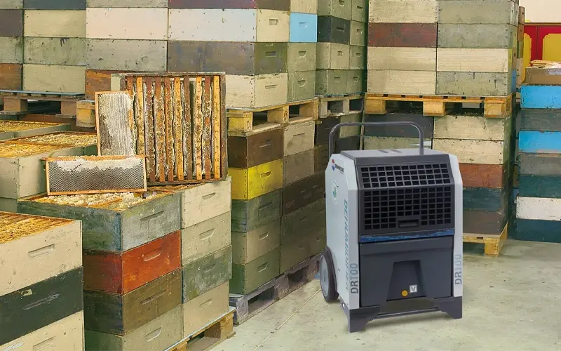 Biemmedue Dr 100 cellar dehumidification