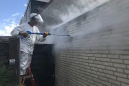 Wall Cleaning PTC Torpedo Compact PS