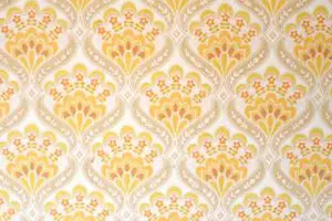 Upholstery scolla with Vaporetto Polti PAEU0228