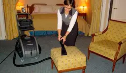 Cleaning Sofas Vaporetto Polti MV