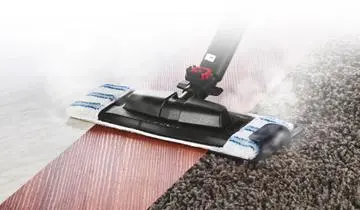 Polti PAEU0269 - Floor and Carpet Cleaning