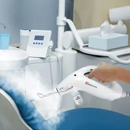 Polti Cimex Eradicator Plus professional steam cleaning