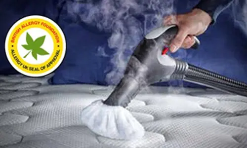 Polti Vaporetto Lecoaspira Fav 80 - Mattress Cleaning
