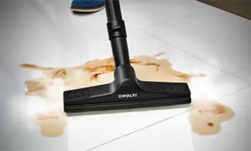 Polti Vaporetto Lecoaspira Fav 80 - Vacuums Solids and Liquids