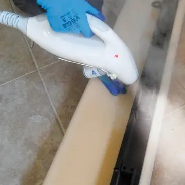 Polti Cimex Eradicator Plus bed bug disinfection