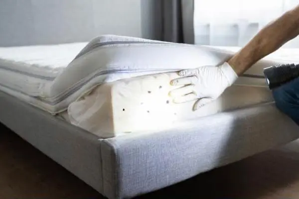 Polti Vaporetto Eco Pro Sani System Cimex Eradicator bed bug removal