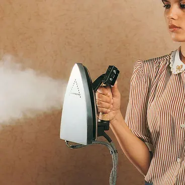 Polti Vaporella 2H Pro - Steam Iron with Boiler 1750 W