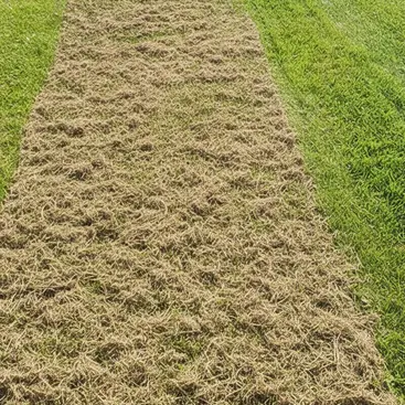 Pubert Cesar 45 P - Professional Aerator 179 cc