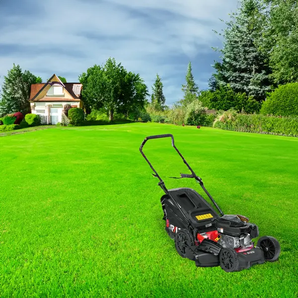 Rato RMS51Q-V170 - 4-in-1 Self-Propelled Lawnmower with 2.8 kW Engine