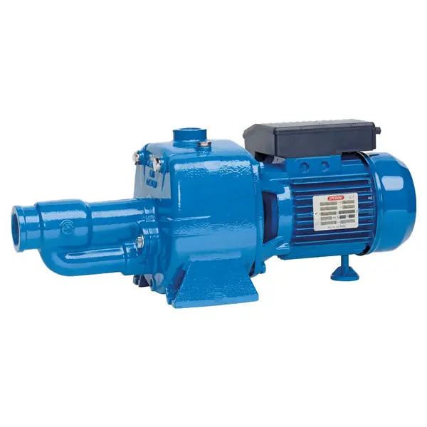 Speroni CAM/CA 150 IE3 - Twin-impeller pump