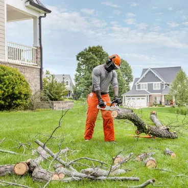 Stihl MSA 60 - 36V Chainsaw with 30 cm Bar including Battery Kit and Charger