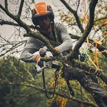 Stihl GTA 40 Battery Chain Pruner