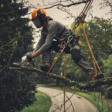 Stihl GTA 40 Battery Pruning Saw