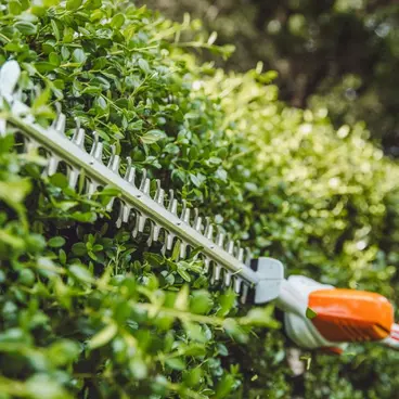 Stihl HLA 56 SET - Adjustable Battery Hedge Trimmer with AK 20 Battery + AL 101 Charger included