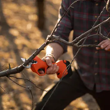 Stocker Magma E-35 TP 21 V - Light-Grip Pruning Shears cod.621