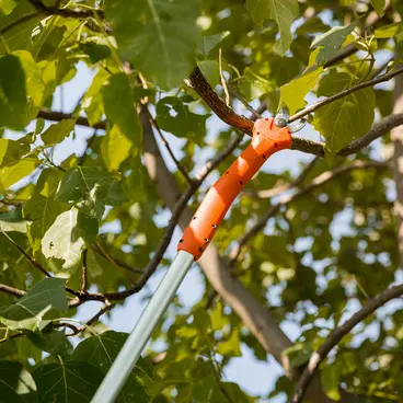 Stocker Kantia E-22 TR telescopic pruning shears