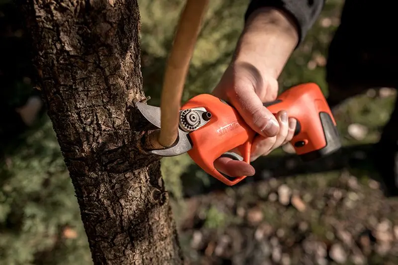 Stocker Vulcano E-30 TP - Brushless Battery Scissors 150 W Progressive and Automatic