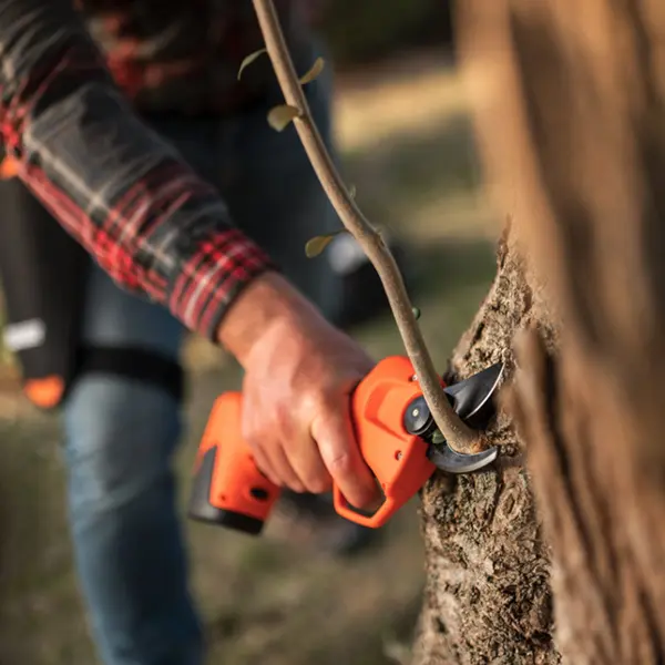 Stoker Vulcano E-25 TR Basic electric pruning shears